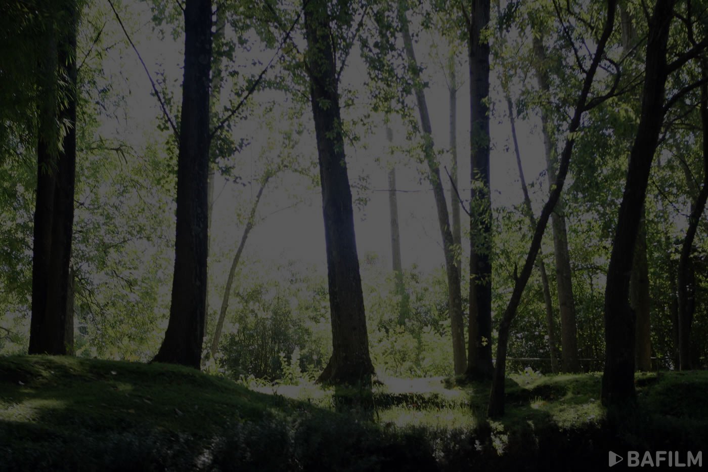parallax background